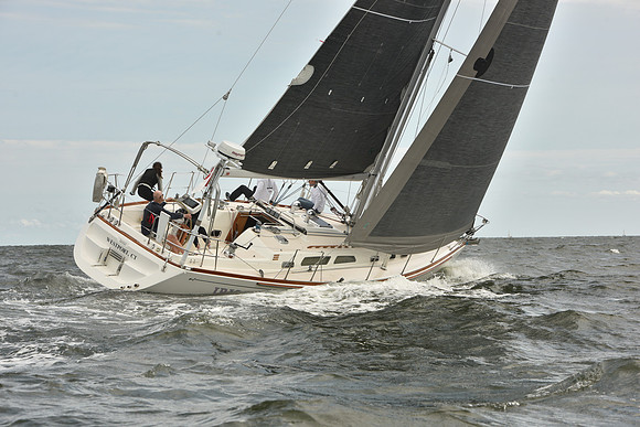2024 Vineyard Race A_1478