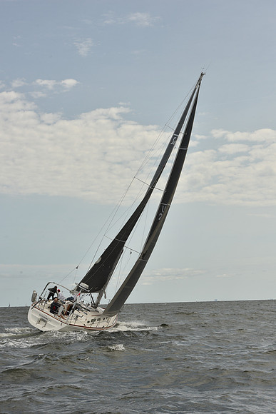 2024 Vineyard Race A_1481