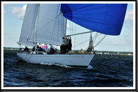 proof_2010_Vineyard_Race_0237