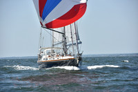 2019 Vineyard Race A_1883