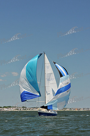 2014 Southern Bay Race Week C 2113
