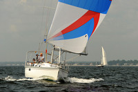 2013 Vineyard Race A 527