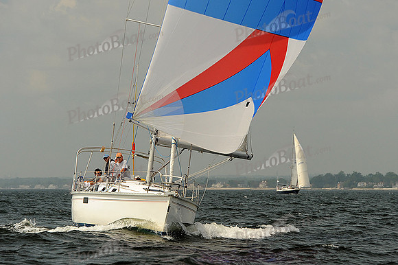 2013 Vineyard Race A 527