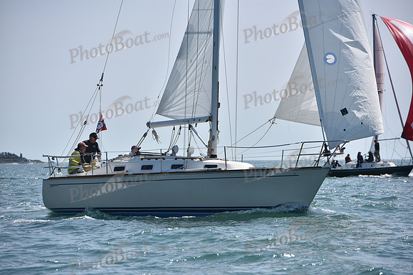 2019 Figawi_0361