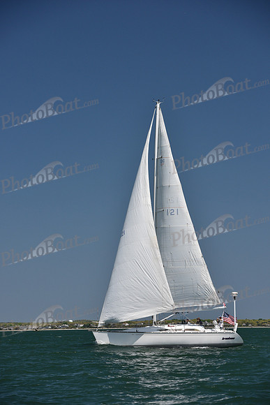 2019 Figawi_0993