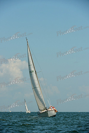2015 Southern Bay Race Week C 646