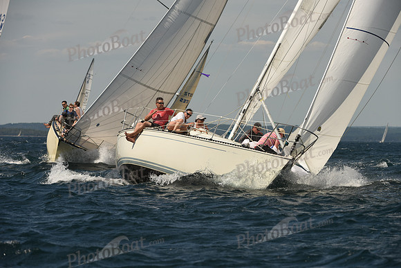2016 Chester Race Week A_1402