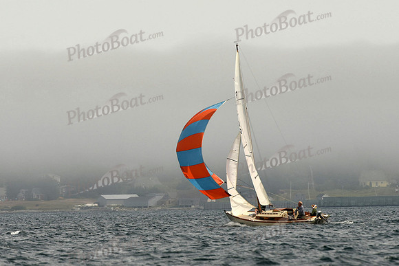 2016 Chester Race Week C 880