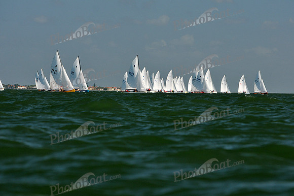 2012 Thistle Midwinters C 057