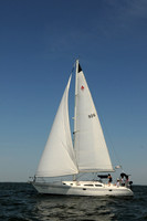 Sandy Sea