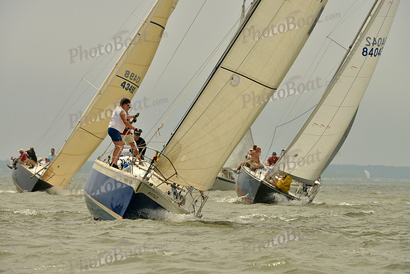 2016 Southern Bay Race Week A_1068