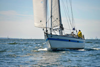 2017 Vineyard Race A_0612