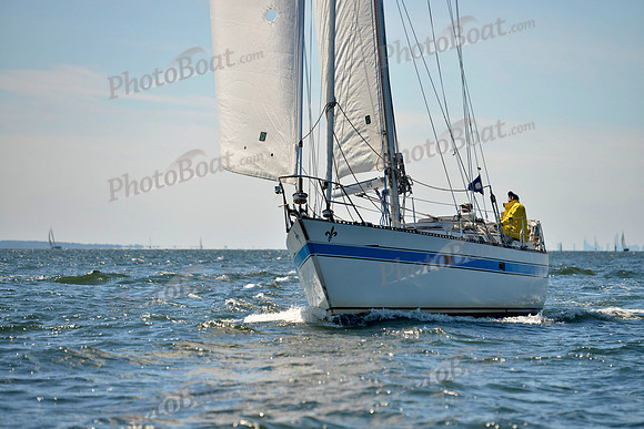 2017 Vineyard Race A_0612