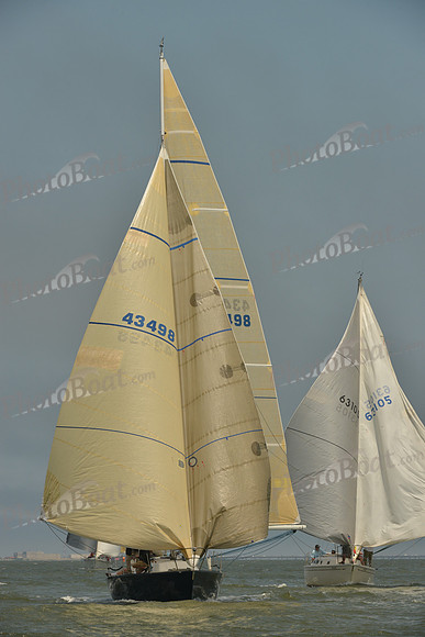2016 Southern Bay Race Week B_0166