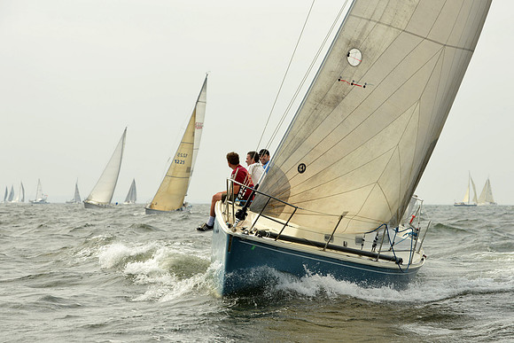 2015 Vineyard Race A 273
