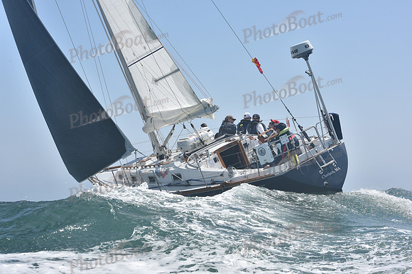 2022 Newport Bermuda_1268