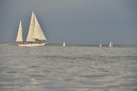 2019 Gov Cup B_0134