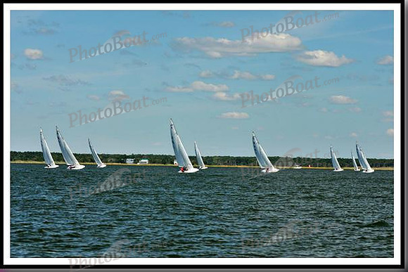 proof_2010_EScows_D 018