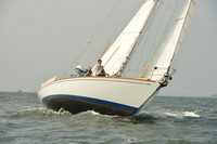 2015 Vineyard Race A 304
