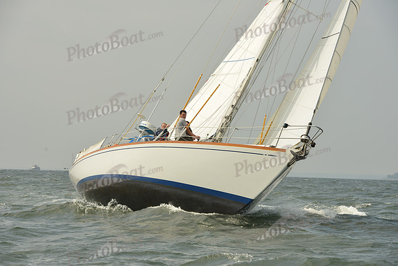 2015 Vineyard Race A 304