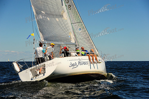 2014 Vineyard Race A 1252