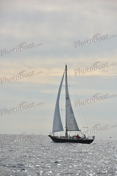 2019 Around Marthas Vineyard A_0177