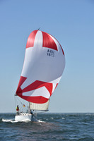 2019 Vineyard Race A_1163
