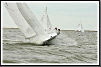 proof_2010_EScows_A 054
