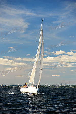 2014 Vineyard Race A 1264