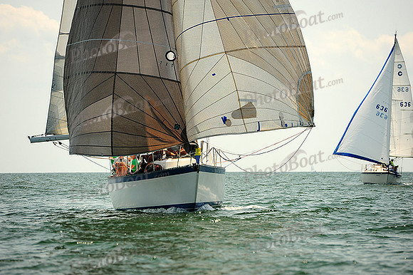 2014 Cape Charles Cup A 1288