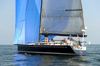 2013 Vineyard Race A 1911