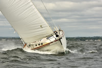2018 Vineyard Race A_0214