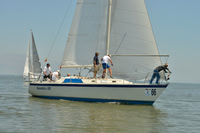 2018 Southern Bay Race Week B_0219