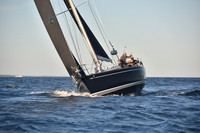 2020 Vineyard Race C_0040