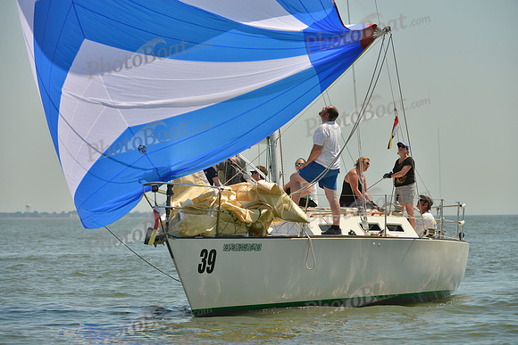 2017 Southern Bay Race Week C_0474