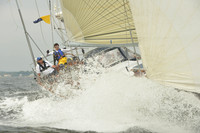 2015 Vineyard Race A 1682