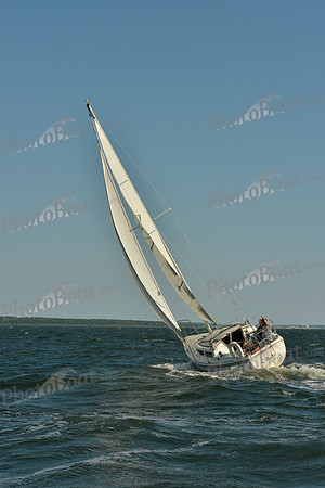 2016 NYYC Race Week A 1837