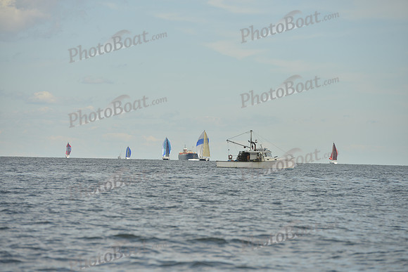 2016 Vineyard Race A_1192