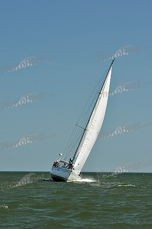 2013 Southern Bay Race Week D 217
