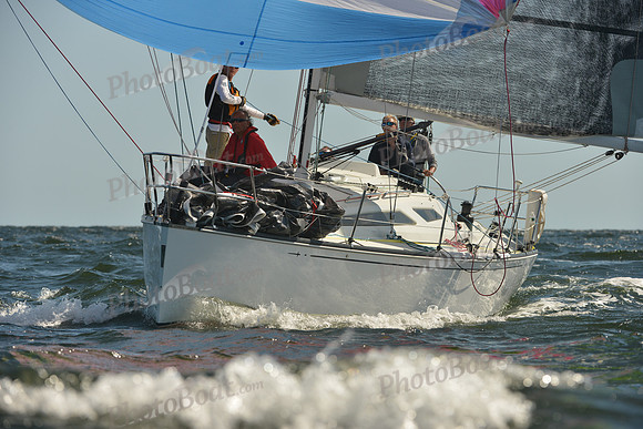 2015 Vineyard Race C 236