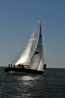 2010 Leukemia Cup 013