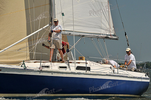 2013 Southern Bay Race Week A 314