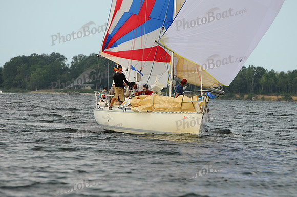 2011 Gov Cup C 1019