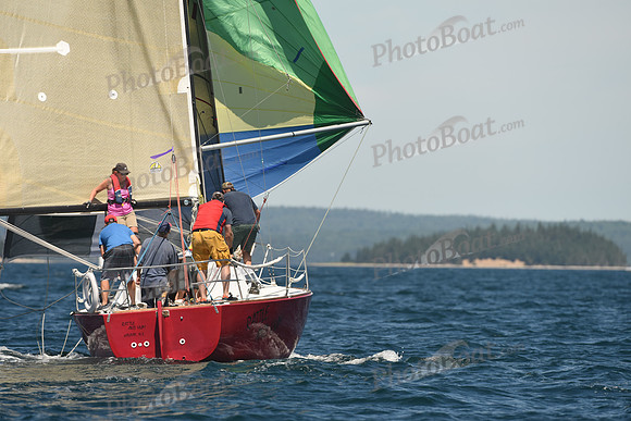 2016 Chester Race Week A_0498