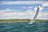 Cavalino