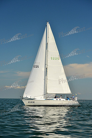 2015 Cape Charles Cup C 532