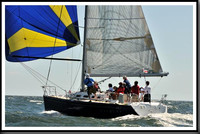 proof_2010_Vineyard_Race_1379