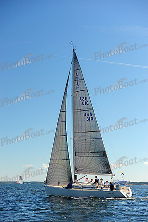 2014 Vineyard Race A 1321