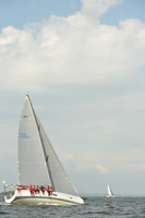 2015 Vineyard Race B 486
