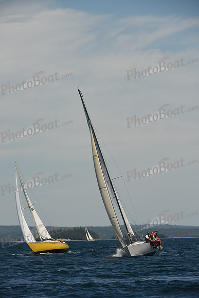 2016 Chester Race Week A_0555